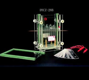 DYCZ-28B單板夾芯式垂直電泳儀(槽)(大號)