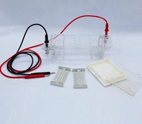 DYCP-31CN瓊脂糖水平電泳儀（小號）
