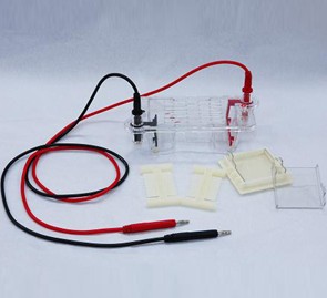 DYCP-31BN瓊脂糖水平電泳儀(槽)(微型)