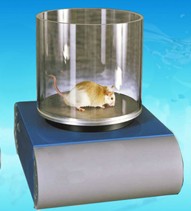 ZH-PAN801熱盤測痛儀