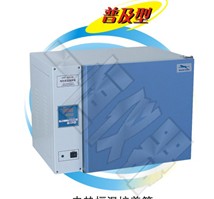 上海一恒電熱恒溫培養箱