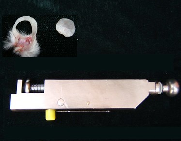GEDE-Q8小鼠耳腫打耳器